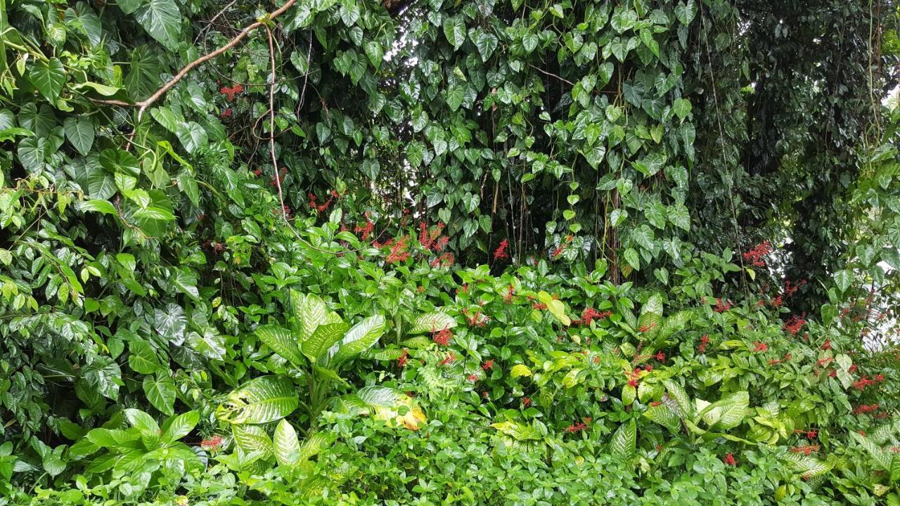 Babinda Quarters Hotel Ngoại thất bức ảnh