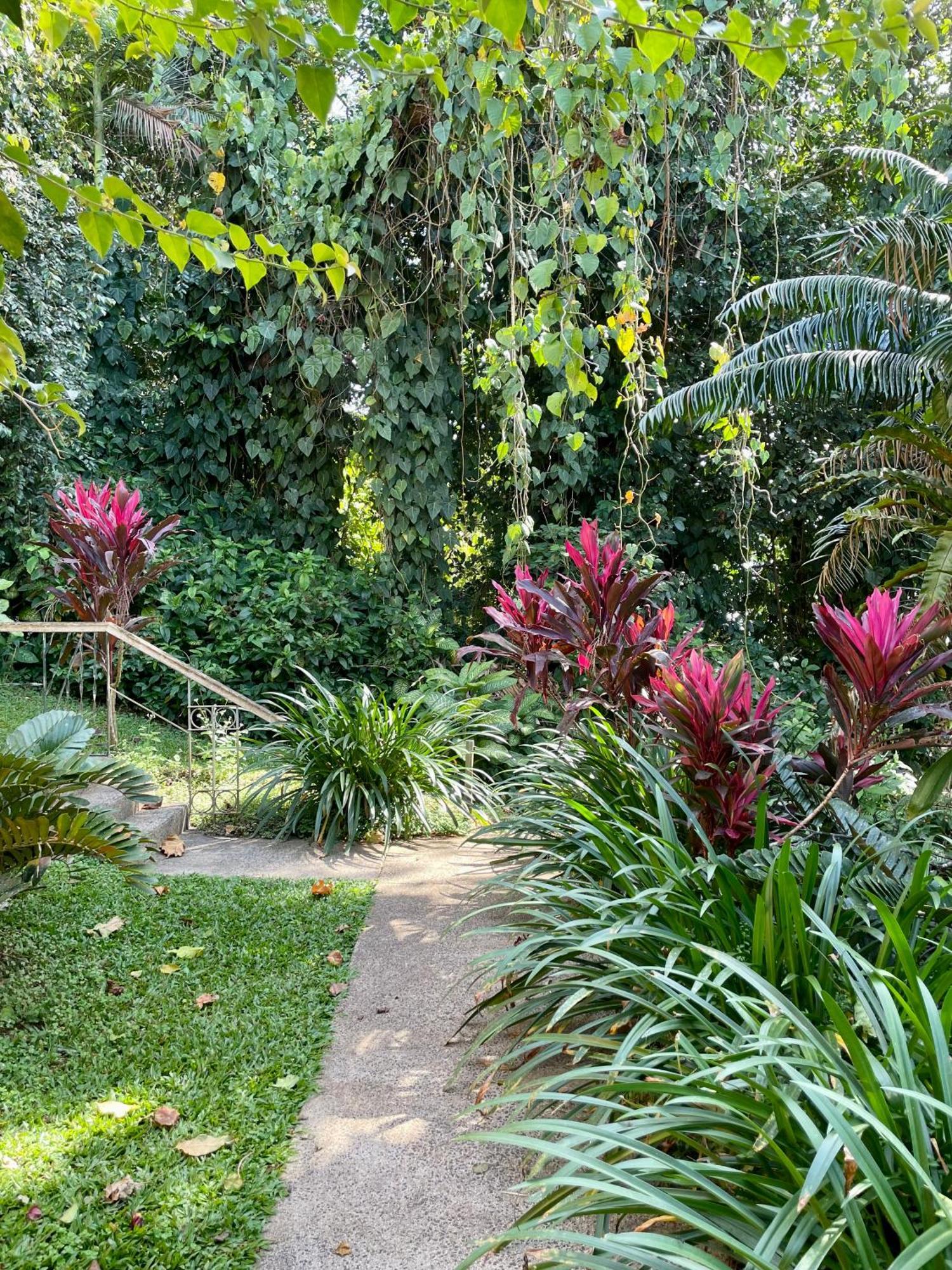 Babinda Quarters Hotel Ngoại thất bức ảnh