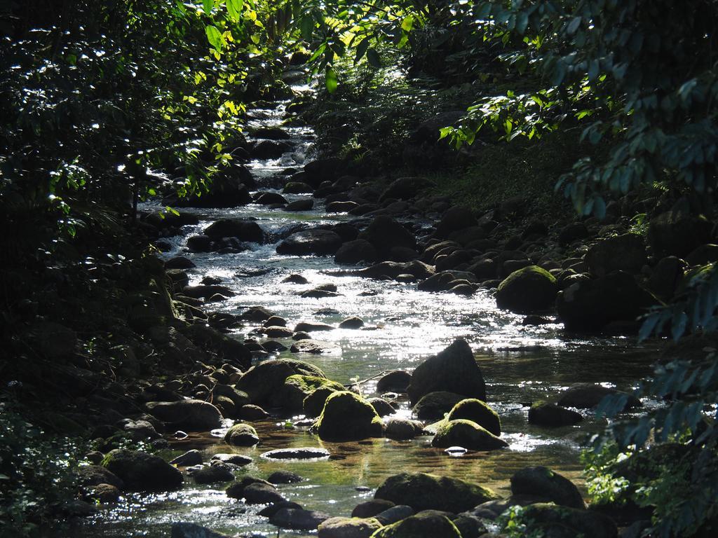 Babinda Quarters Hotel Ngoại thất bức ảnh